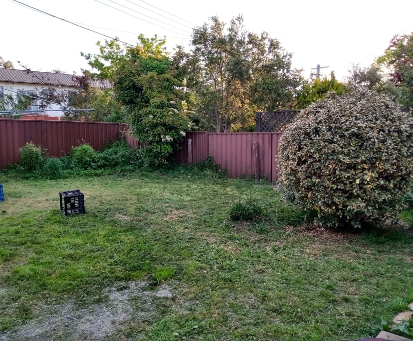 Unfurnished room in a share house