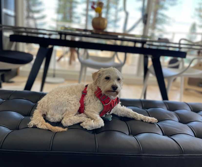 $880, Flatshare, 3 bathrooms, Manly NSW 2095