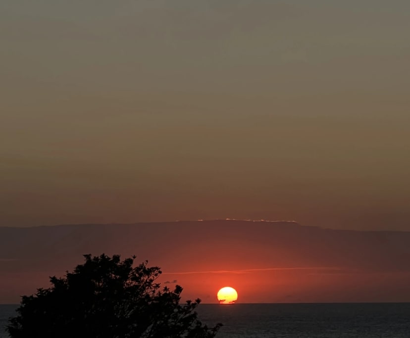 $650, Flatshare, 3 bathrooms, Coogee NSW 2034