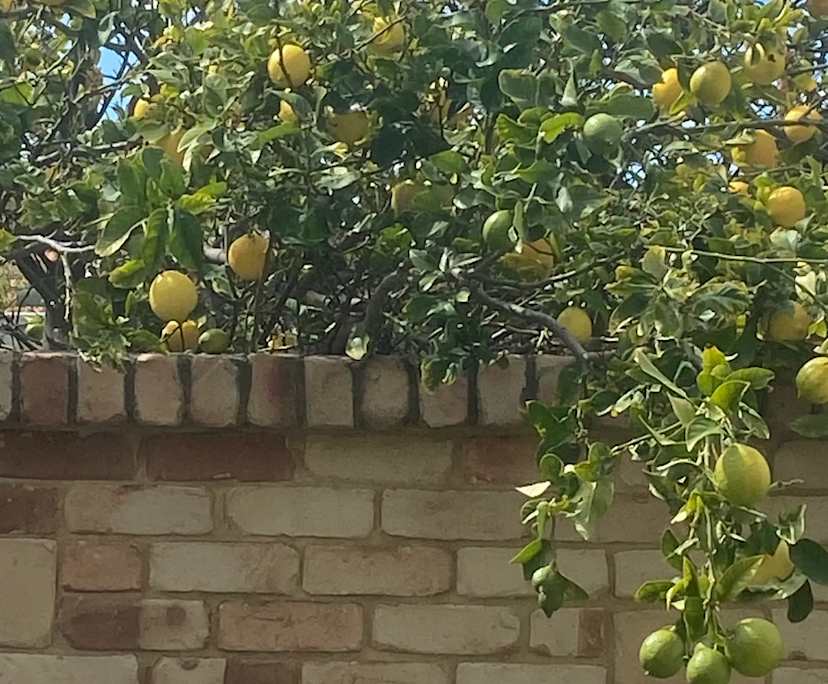 $300, Share-house, 3 bathrooms, Beaconsfield WA 6162