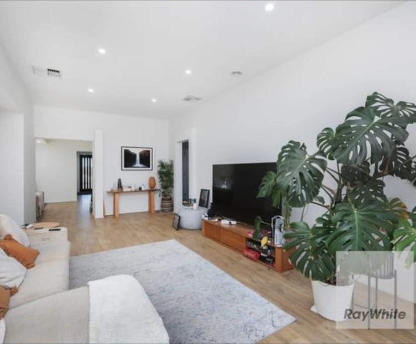 Whole property with 4 rooms for rent