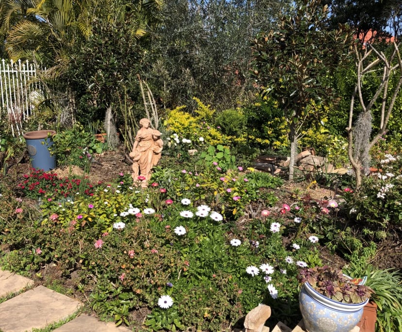 propertyImage