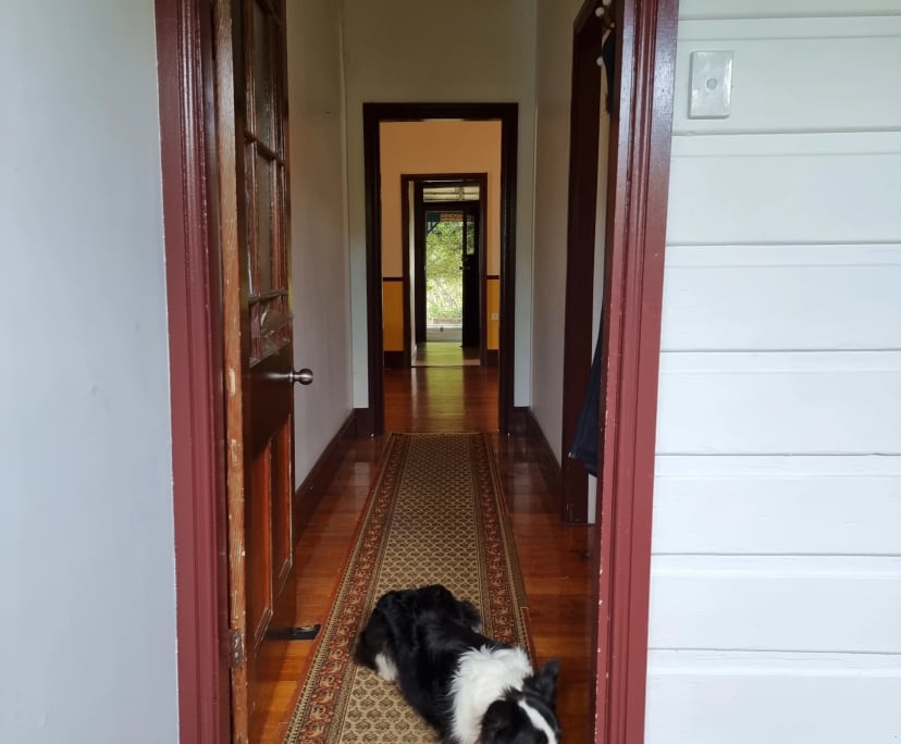 Unfurnished room in a share house