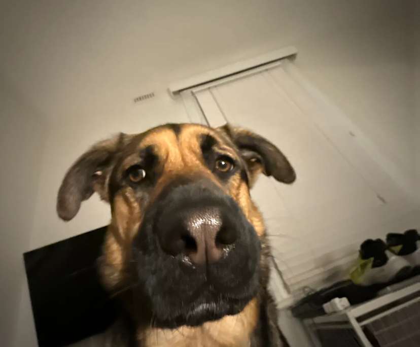 $180, Share-house, 4 bathrooms, West Hobart TAS 7000