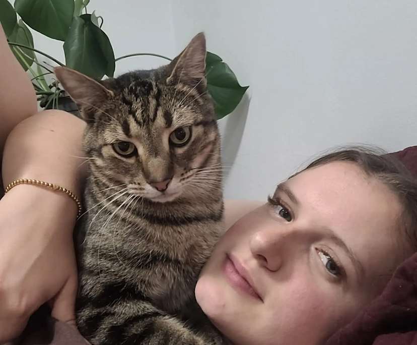 $400, Flatshare, 2 bathrooms, Cronulla NSW 2230