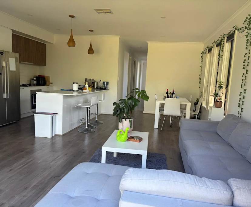 Room in a share house