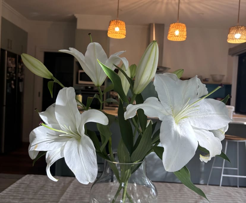 $300, Share-house, 4 bathrooms, Rapid Creek NT 0810