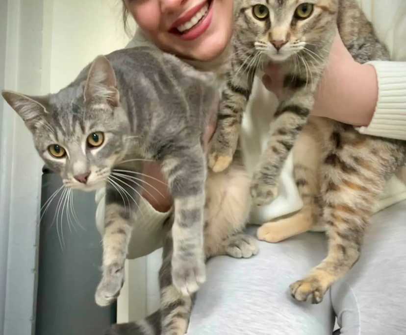 $250, Share-house, 2 bathrooms, South Morang VIC 3752