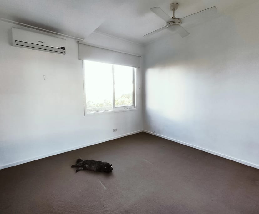 $360, Flatshare, 3 bathrooms, Hawthorn VIC 3122