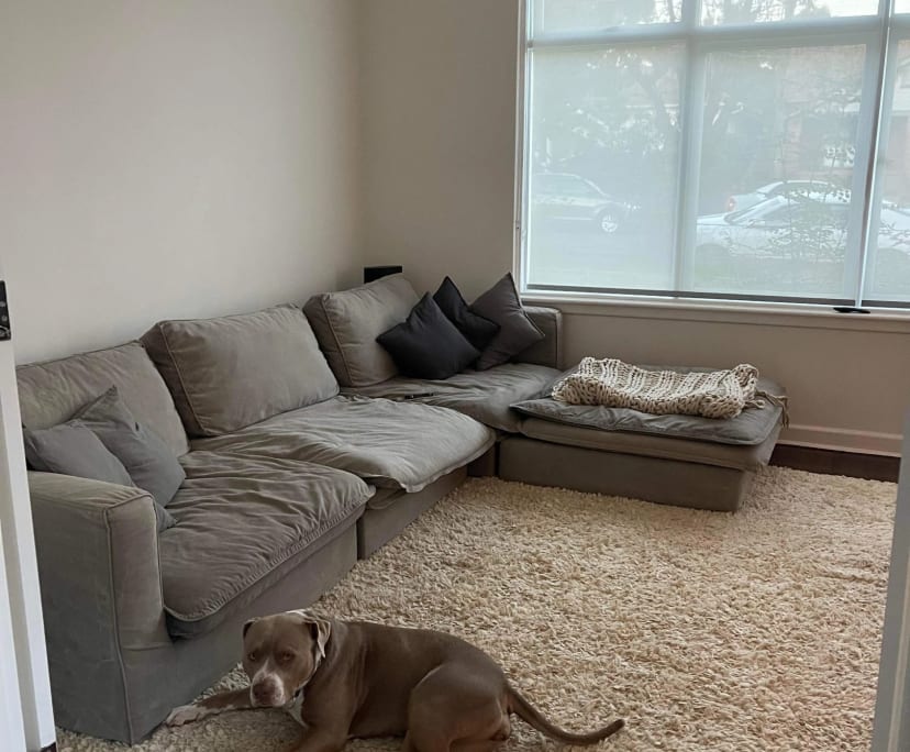 Room for Rent in Balaclava, Melbourne 315, Unfurn...