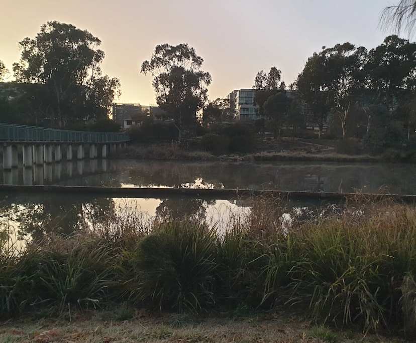 $220, Share-house, 3 bathrooms, Dickson ACT 2602