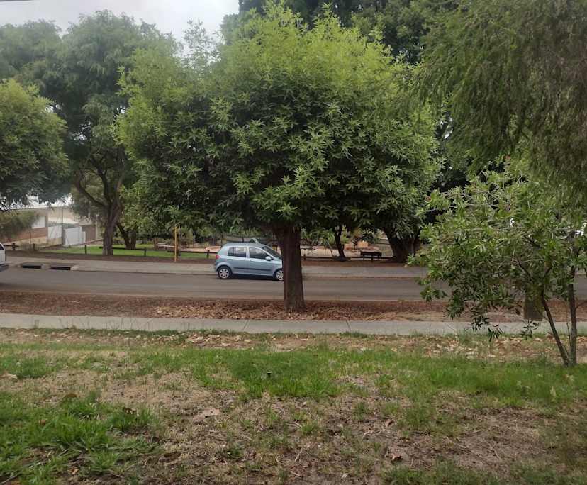 $230, Share-house, 2 bathrooms, Maylands WA 6051