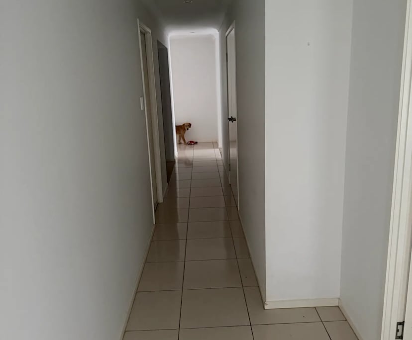 $200, Share-house, 2 rooms, Eimeo QLD 4740, Eimeo QLD 4740