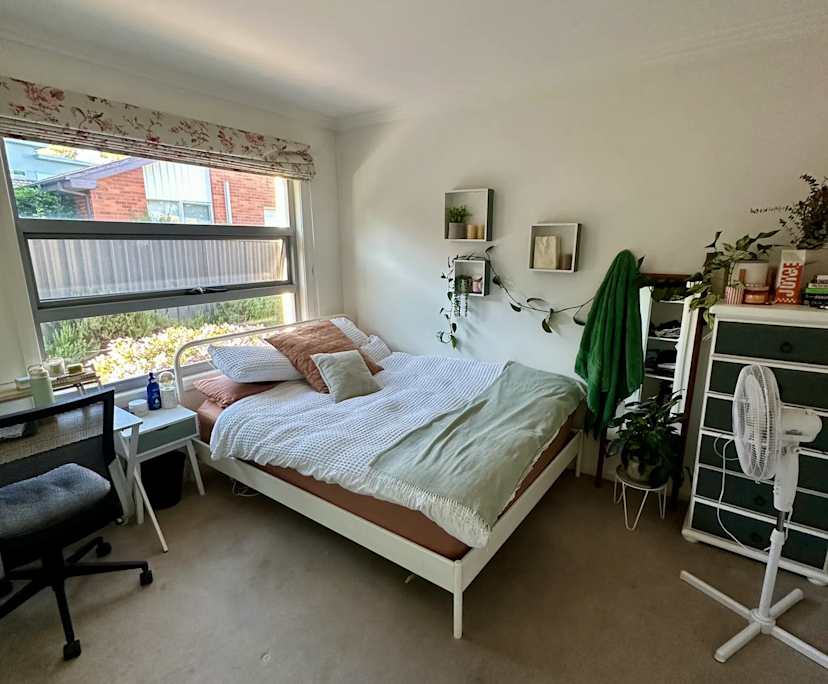 Room in a share house