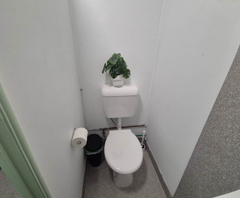 $290, Flatshare, 6 bathrooms, Rockdale NSW 2216