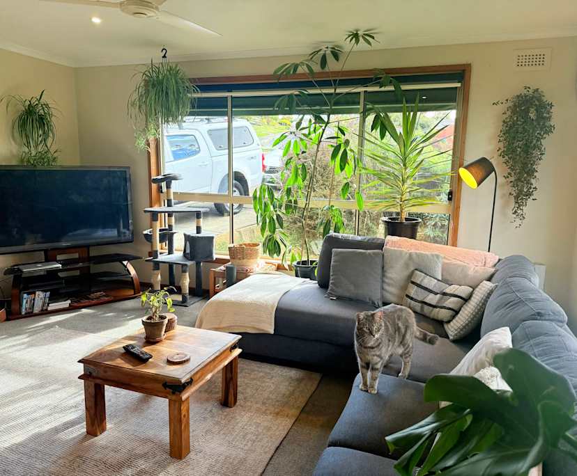 Furnished room with own bathroom