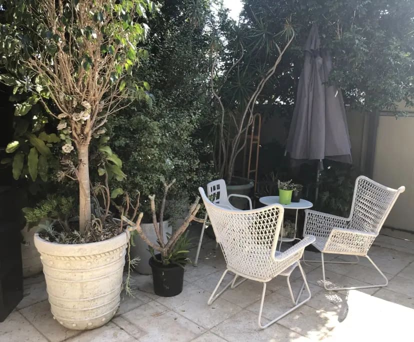 $449, Share-house, 3 bathrooms, Randwick NSW 2031