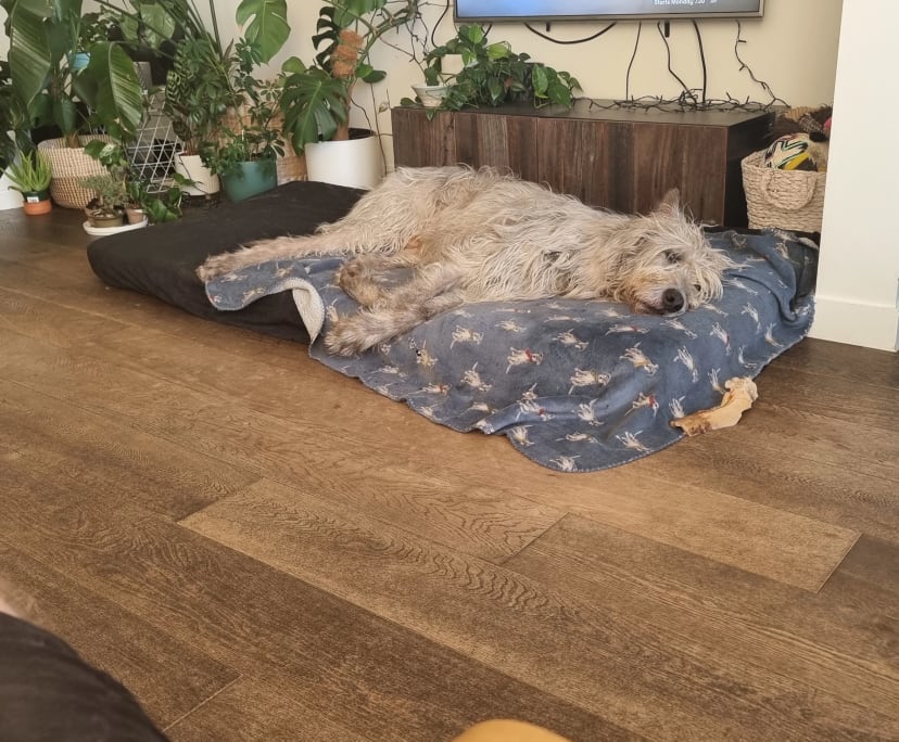 $380, Share-house, 3 bathrooms, Richmond VIC 3121