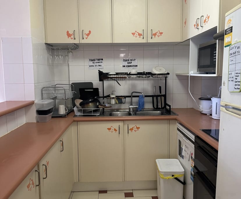 $250, Flatshare, 3 bathrooms, Ultimo NSW 2007