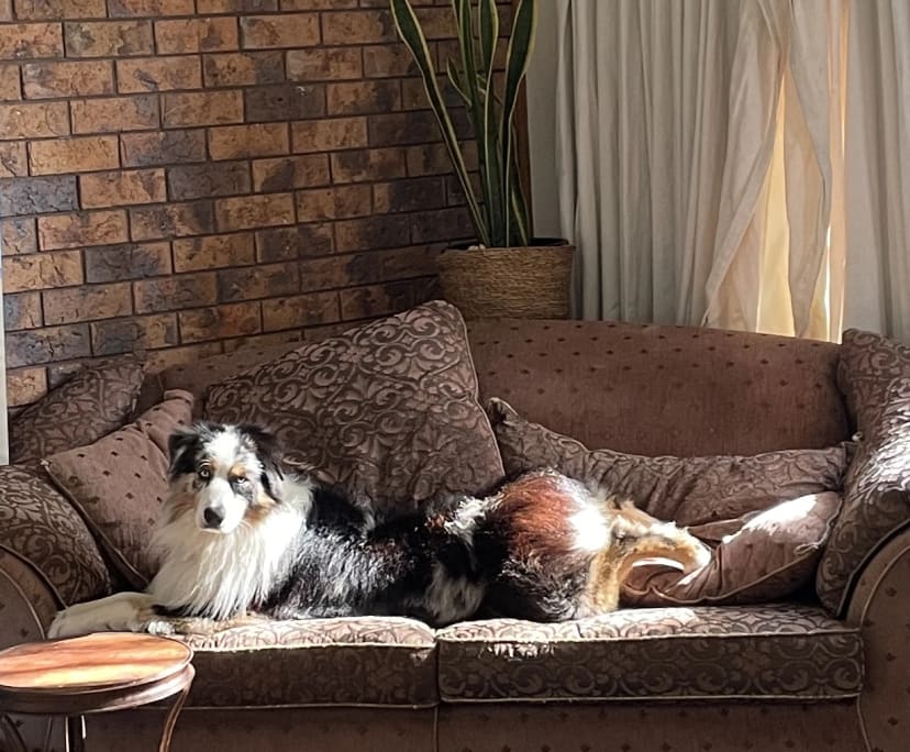 $800, Share-house, 3 bathrooms, Byron Bay NSW 2481