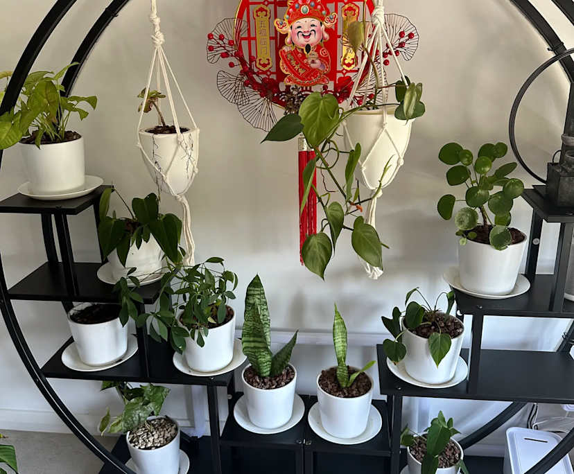 Furnished room with own bathroom