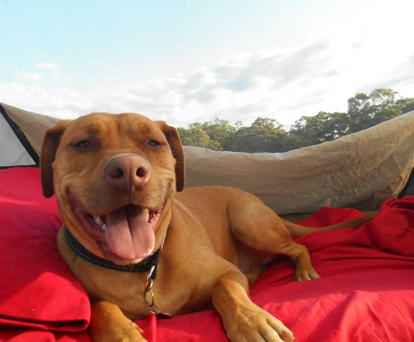 $210, Share-house, 3 bathrooms, Maryville NSW 2293