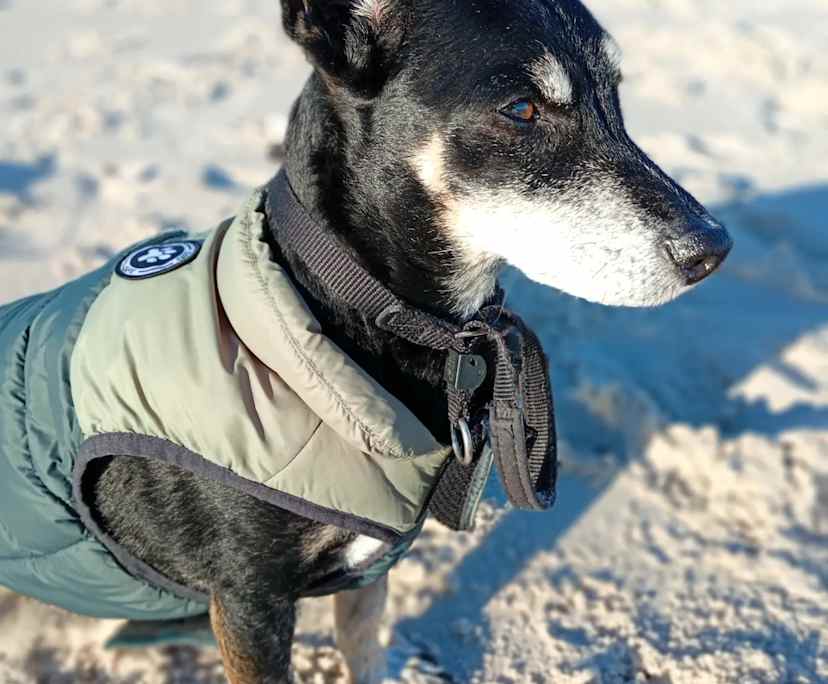 $270-340, Share-house, 2 rooms, West Beach SA 5024, West Beach SA 5024