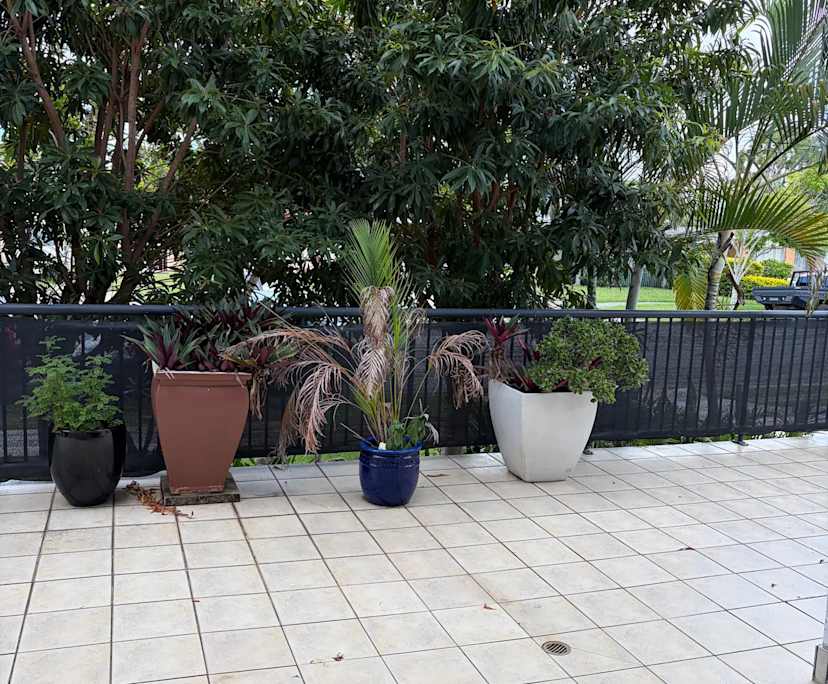 $300, Flatshare, 2 bathrooms, Labrador QLD 4215