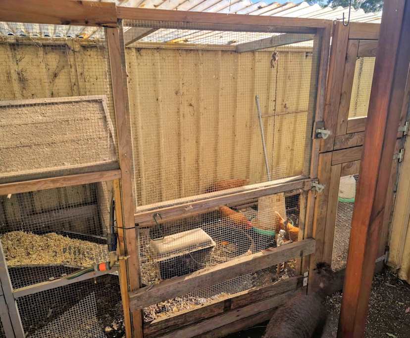 $290, Share-house, 4 bathrooms, Milperra NSW 2214