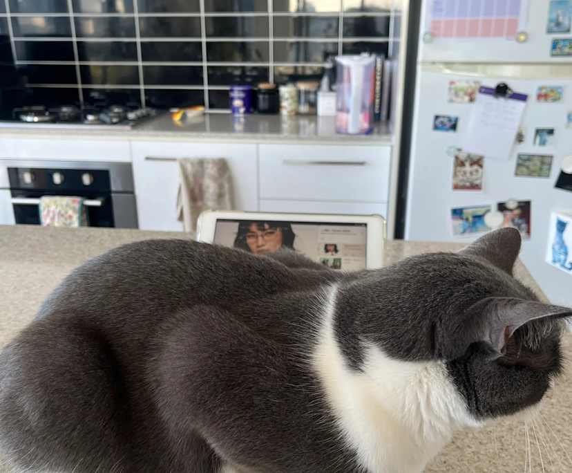 $330, Flatshare, 2 bathrooms, Milton QLD 4064