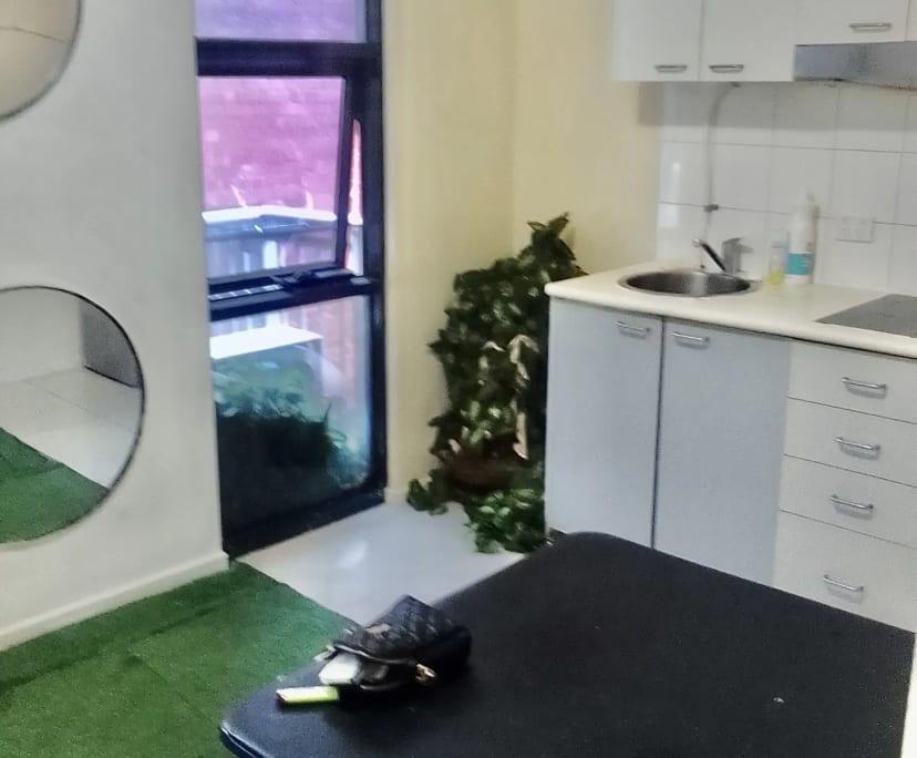 Whole property with 2 rooms for rent