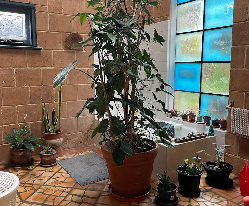 Room in a share house