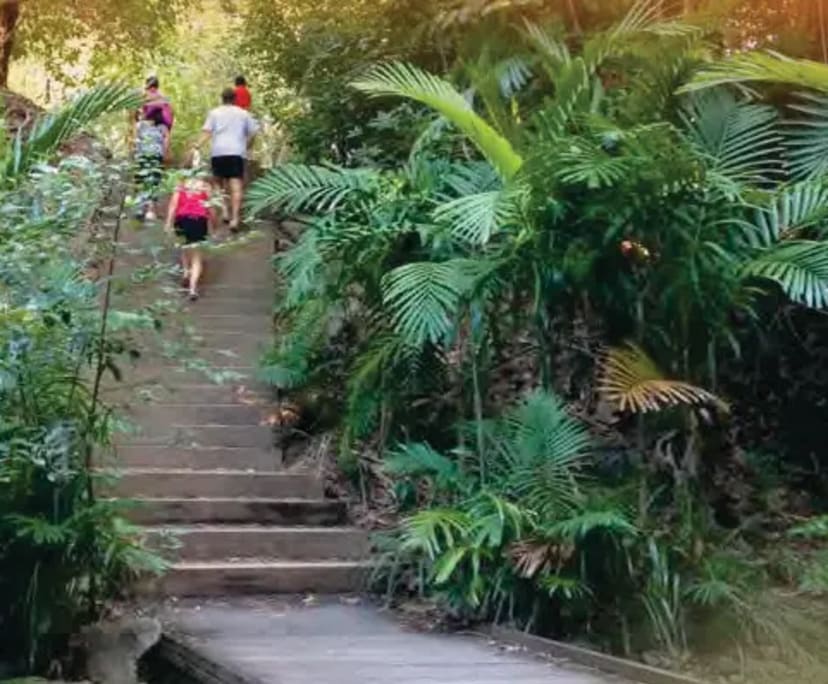 $210, Share-house, 4 bathrooms, Edge Hill QLD 4870