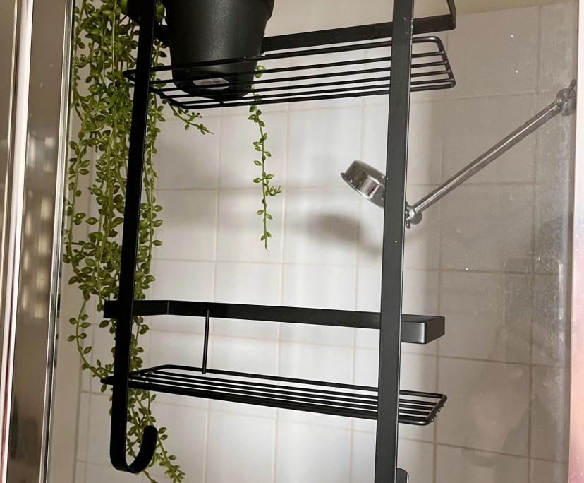 $390, Flatshare, 2 bathrooms, South Yarra VIC 3141