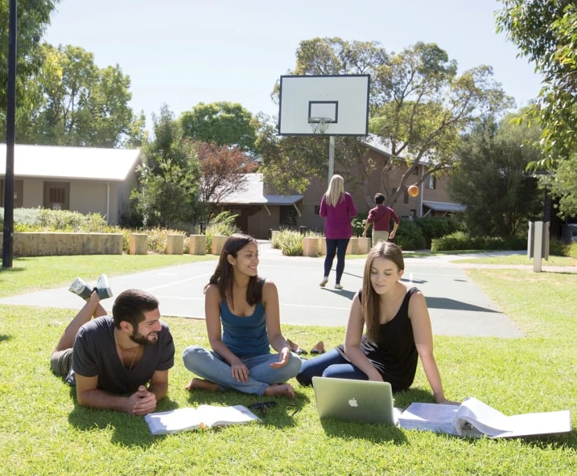 $222-253, Student-accommodation, 2 rooms, Mount Lawley WA 6050, Mount Lawley WA 6050