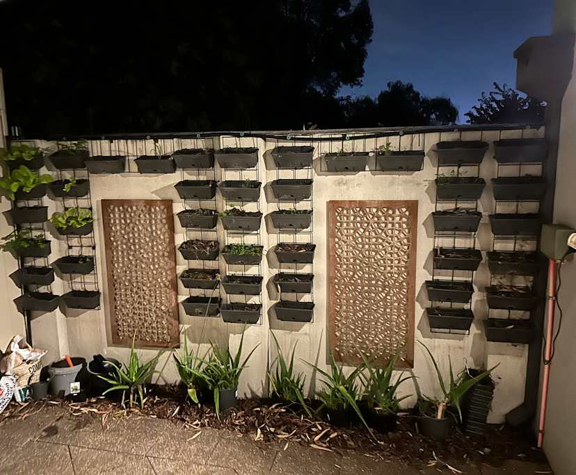 $300, Share-house, 4 bathrooms, Saint James WA 6102