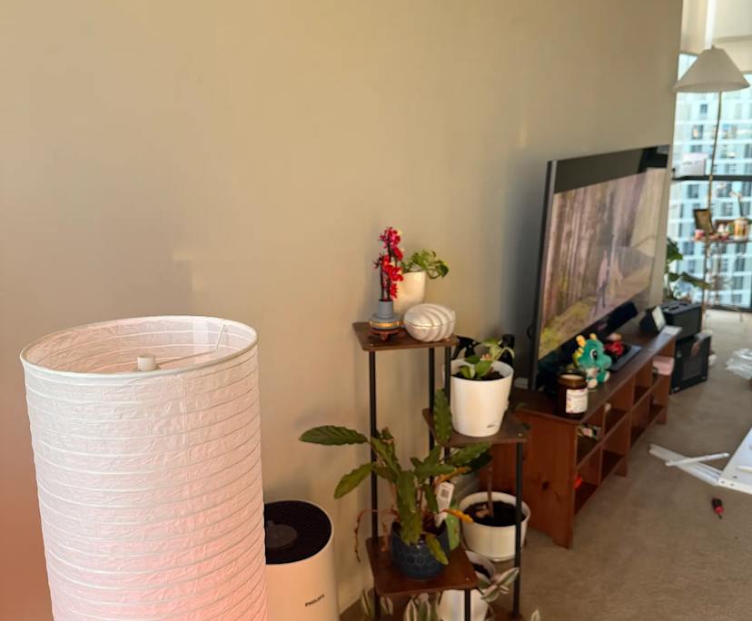 $400, Flatshare, 2 bathrooms, Parramatta NSW 2150