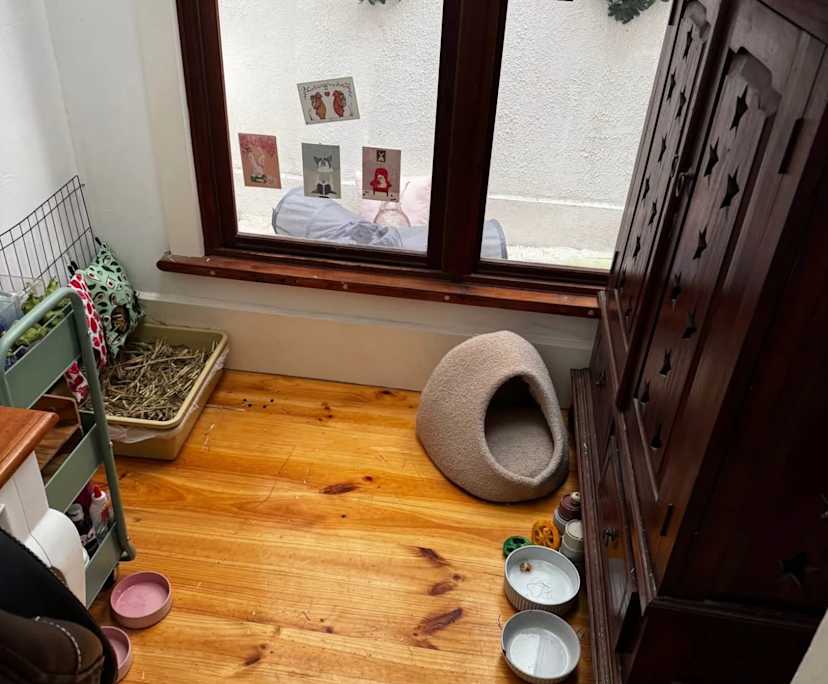 $380, Share-house, 2 bathrooms, Carlton North VIC 3054