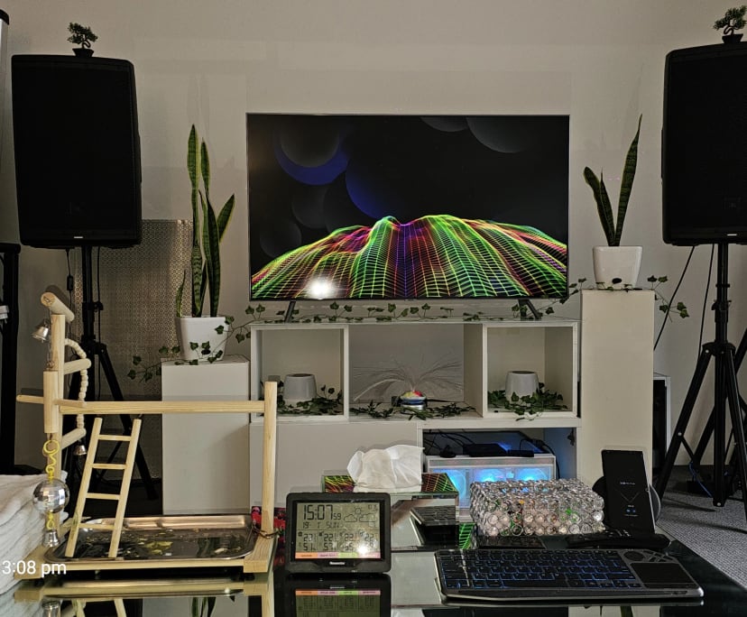 $550, Flatshare, 2 bathrooms, Alexandria NSW 2015