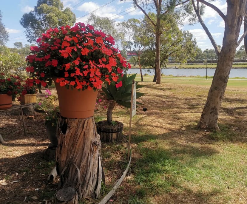 $225-285, Share-house, 2 rooms, Footscray VIC 3011, Footscray VIC 3011