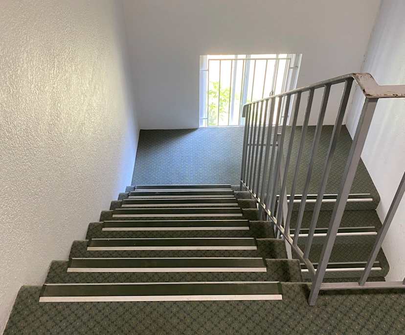 $475, Flatshare, 2 bathrooms, Vaucluse NSW 2030