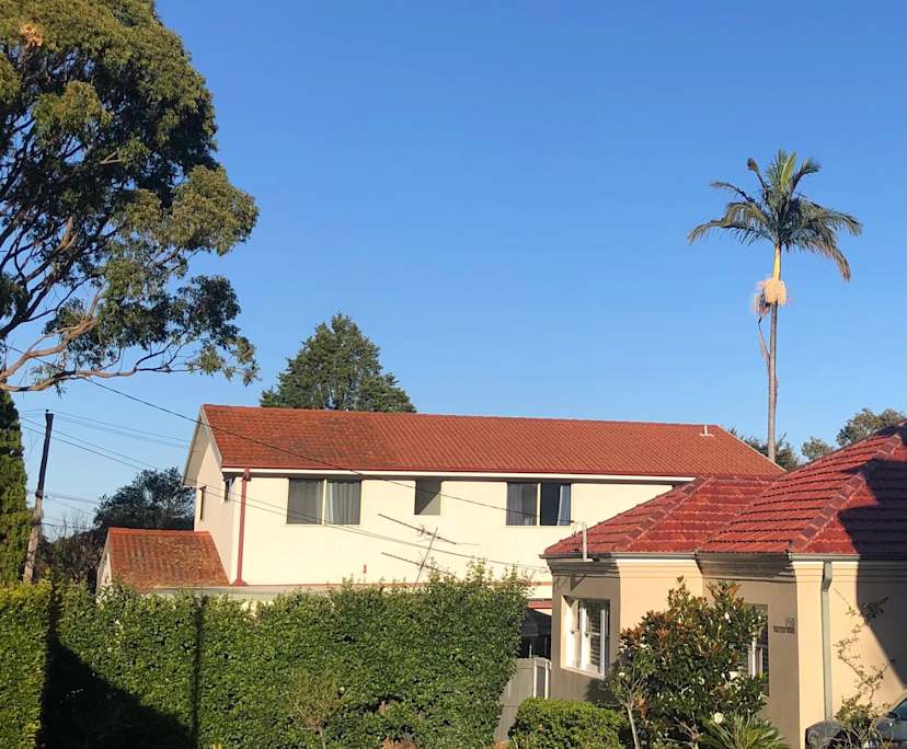 $350, Share-house, 4 rooms, Marsfield NSW 2122, Marsfield NSW 2122