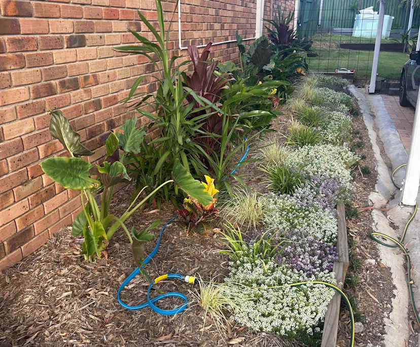 $250, Share-house, 3 bathrooms, Forest Lake QLD 4078