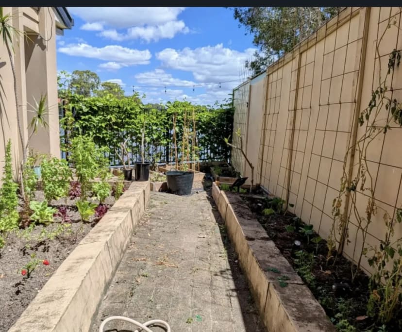 $415, Share-house, 4 bathrooms, Robina QLD 4226