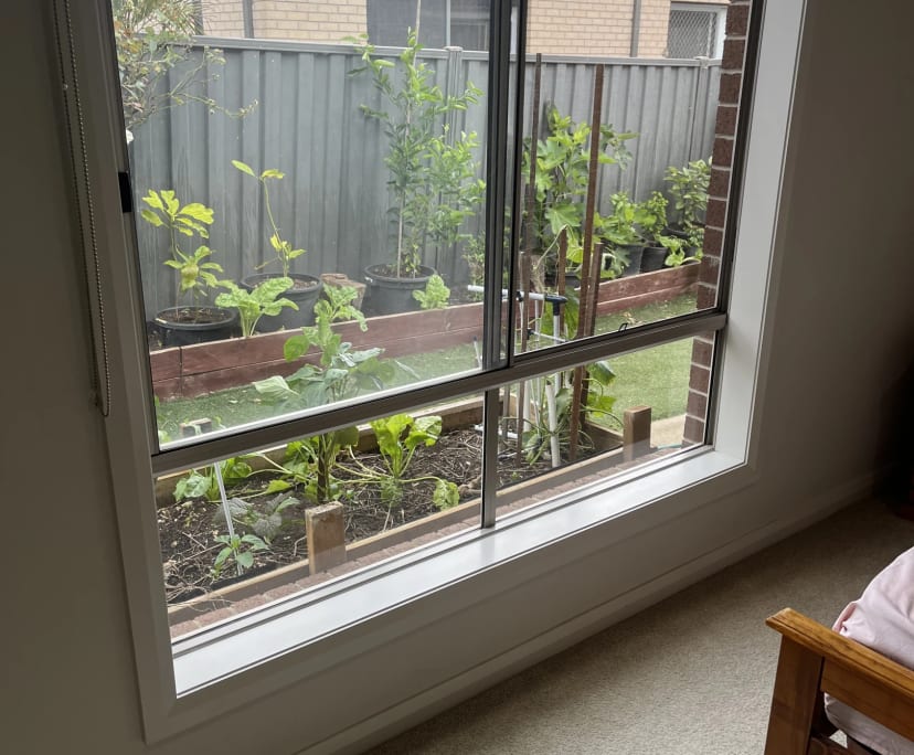 $300, Share-house, 4 bathrooms, Tarneit VIC 3029