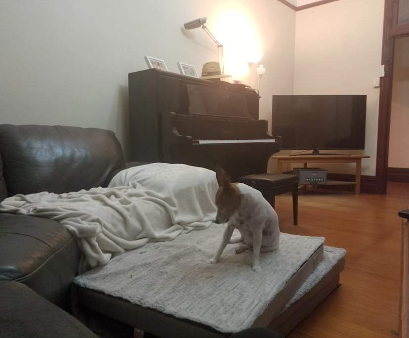 $250, Share-house, 5 bathrooms, Drummoyne NSW 2047