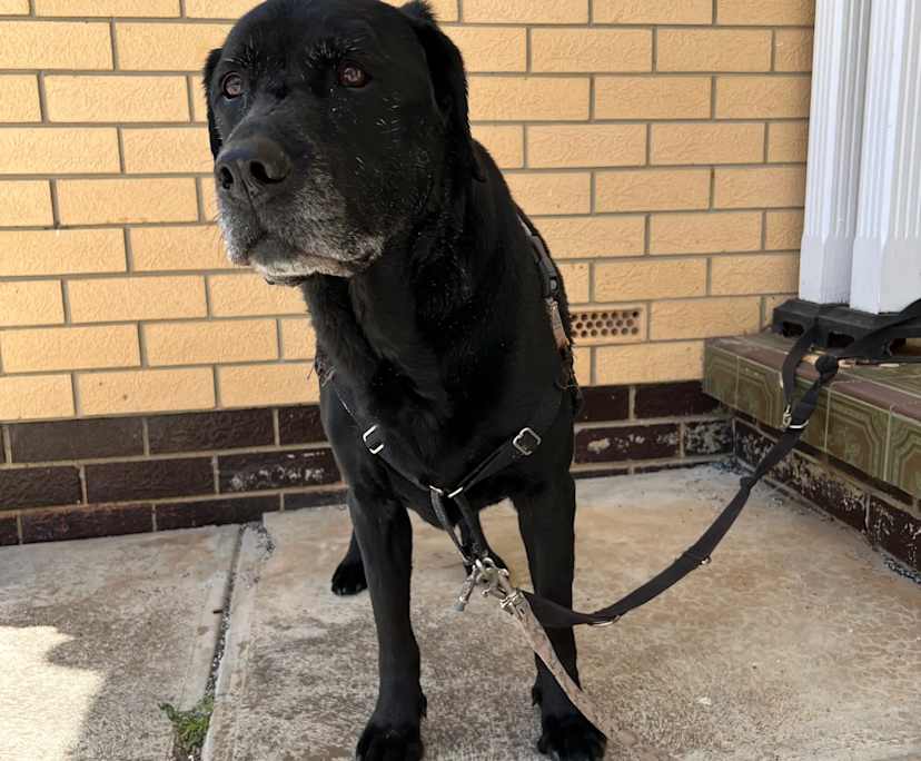 $200, Share-house, 3 bathrooms, Glenelg East SA 5045