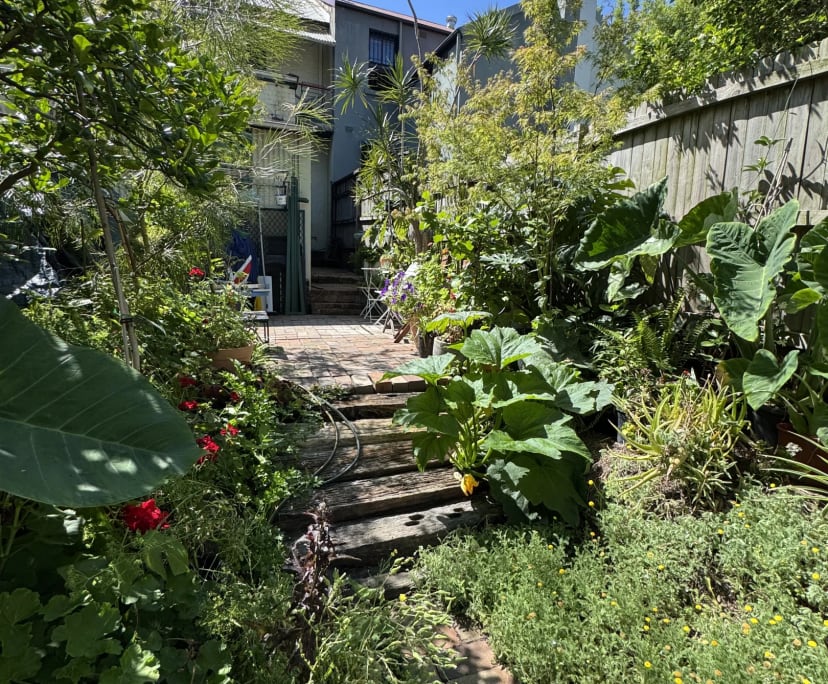 $380, Share-house, 3 bathrooms, Darlington NSW 2008