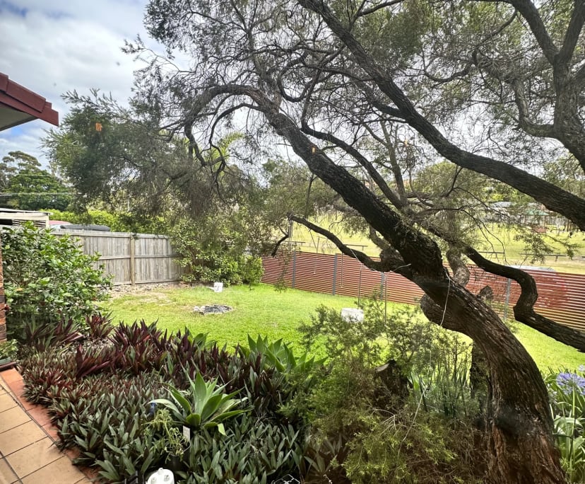 Room for Rent in Ashmore, Gold Coast 320, Flexibl...