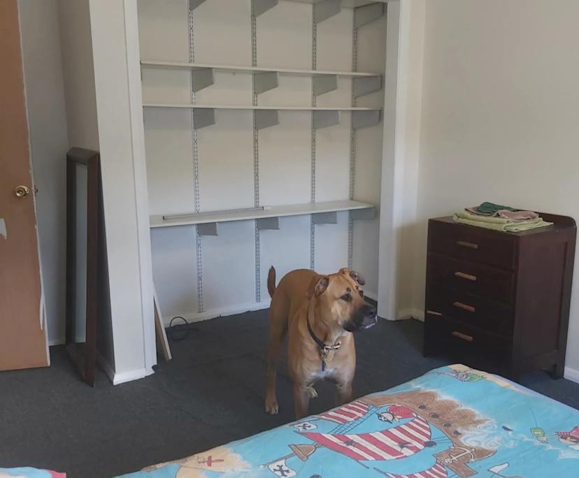 Room in a share house